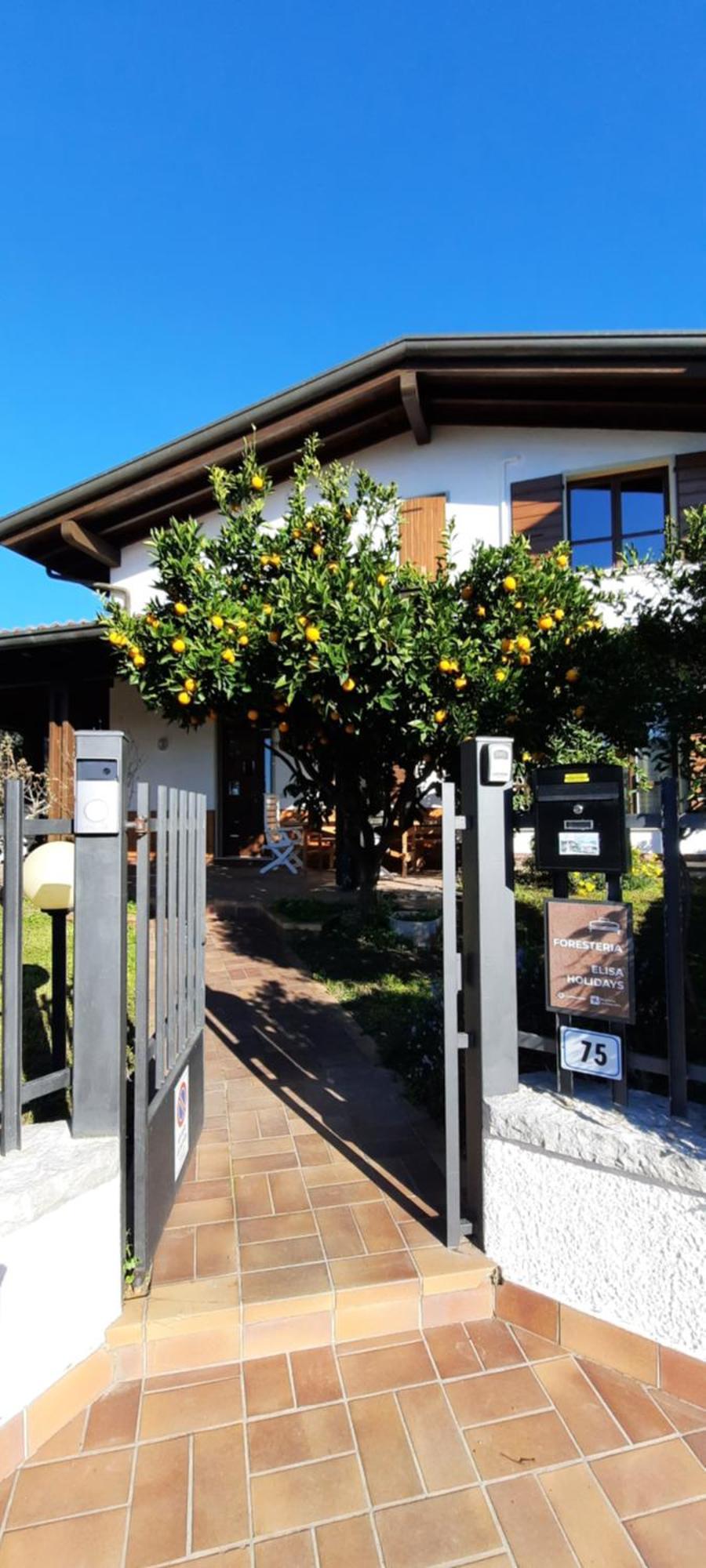 Elisa Holidays Apartments プエニャーゴ エクステリア 写真